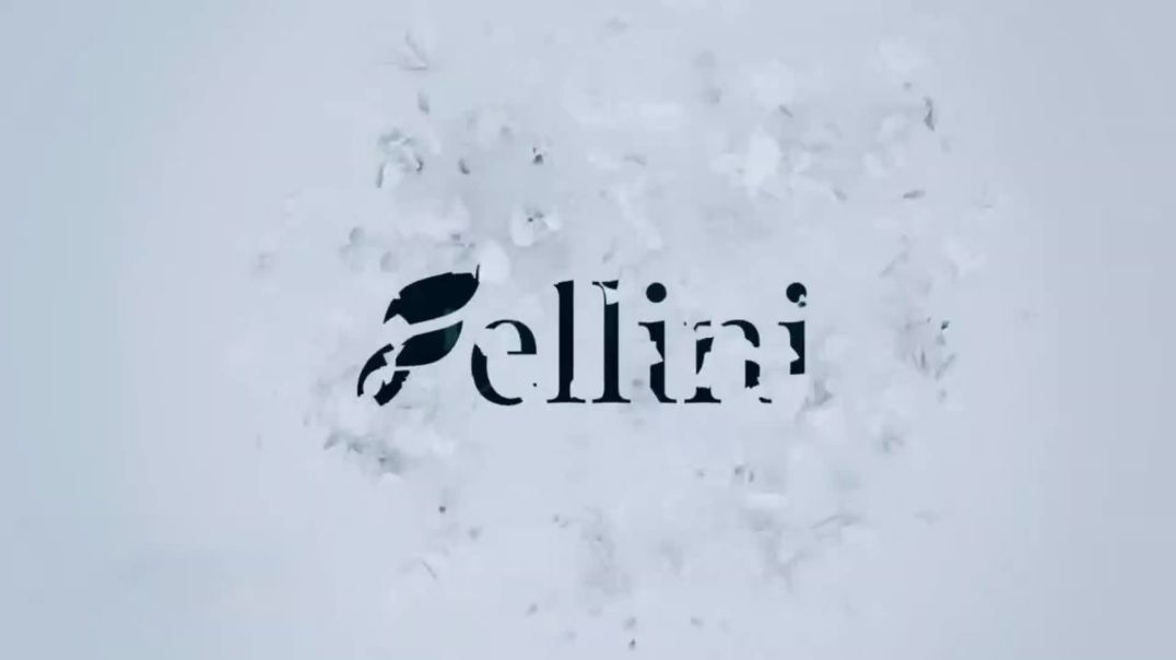 ⁣Fellini Home Logo